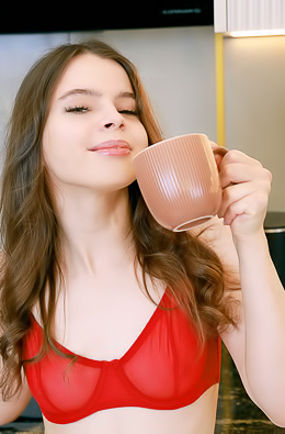 Indiana Russian Brunette Is Delightfully Enticing In Sexy Red Lingerie